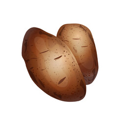 Vector Illustration of Two Raw Brown Potatoes. Fresh Organic Potatoes Isolated. Whole Russet Potatoes Vector