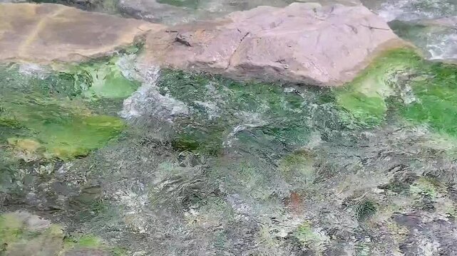 温泉が流れる川(動画)④