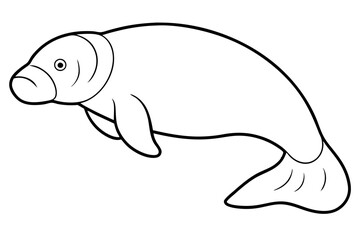 Graceful Manatee Sketch