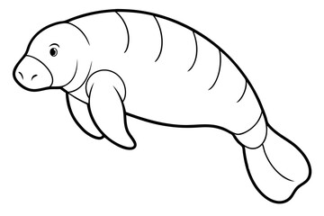 Graceful Manatee Sketch