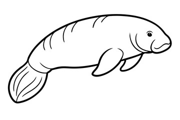 Graceful Manatee Sketch