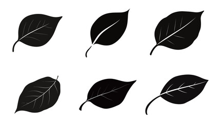 Fototapeta premium A Simple Black Silhouette of a Single Leaf Vector Graphic