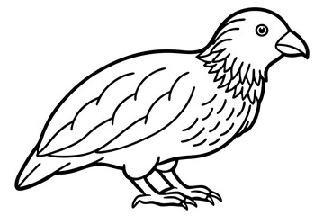 Kestrel Minimalist Line Art