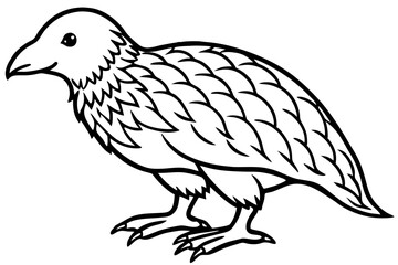 Kestrel Minimalist Line Art