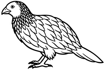 Kestrel Minimalist Line Art