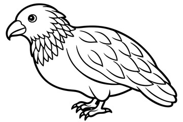 Kestrel Minimalist Line Art