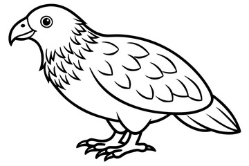 Obraz premium Kestrel Minimalist Line Art