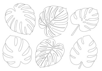 Elegant minimalist line art set of a Monstera leaf in black on white, ideal for decor, posters, websites.