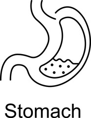 Obraz premium Stomach Icon. Vector Design