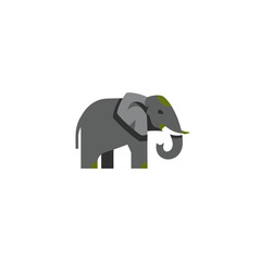 Geometric elephant illustration on a white background for creative projects