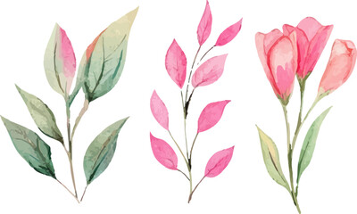 set of pink and green leaves