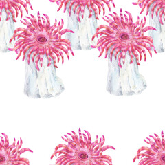 Watercolor seamless pattern with pink sea anemones from coral reefs. Great for fabric prints, stationery, packaging, and marine-themed decor.