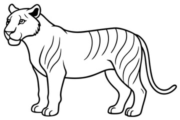 Liger Ink Line Vector