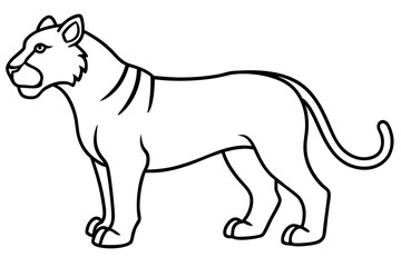 Liger Ink Line Vector