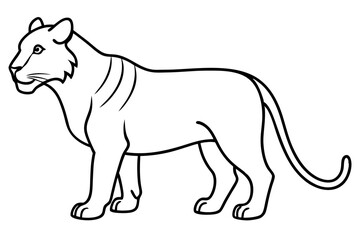 Liger Ink Line Vector