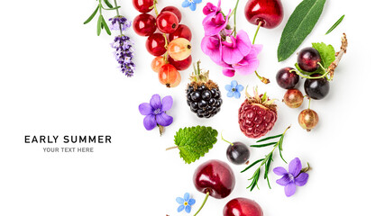 Early summer berries, herbs and flowers photography isolated on white background.
