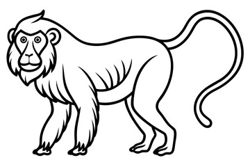 Mandrill Outline Vector