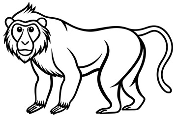 Mandrill Outline Vector