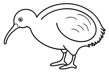 Minimal Kiwi Line Art