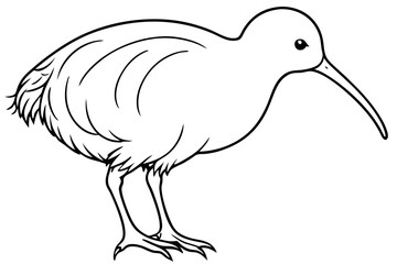 Minimal Kiwi Line Art
