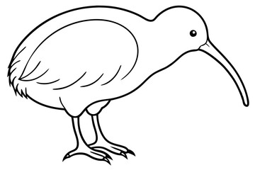 Minimal Kiwi Line Art