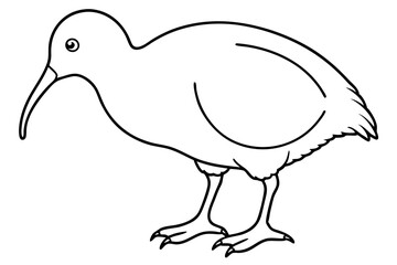 Minimal Kiwi Line Art
