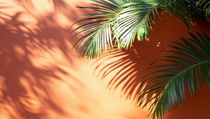 Tropical foliage casting shadows on a peach-toned wall