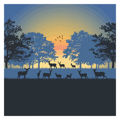 silhouette  landscape animal  at the forest