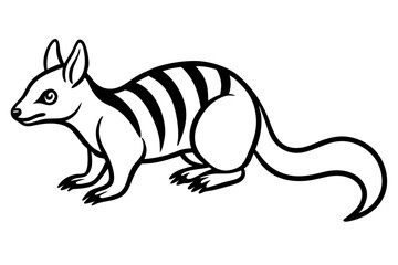 Minimal Numbat Line Art