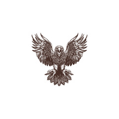 Obraz premium Angry mighty eagle flying design vector template illustration