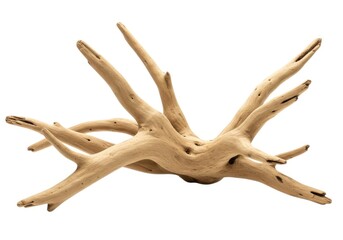 Fototapeta premium Driftwood branch piece natural wood for crafts and home decor design item