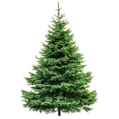 Christmas Tree Background Hd Image  isolated on a transparent background