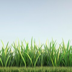 Fresh Green Grass Blades in Sunlight Against Pale Blue Sky Calm and Serene Outdoor Background