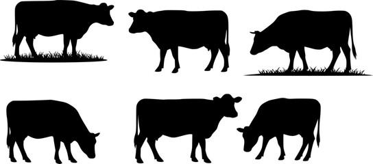 set of cow vector silhouettes, set of different style cow, Dairy farm cow, Cow Grazing On Meadow, vector silhouettes

