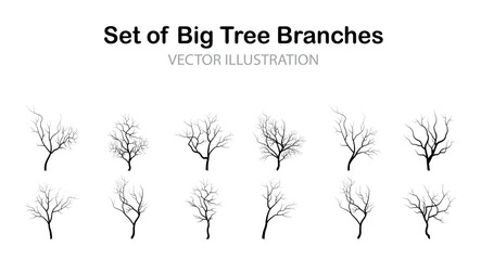 Winter tree silhouette collection, Set of Big Tree branches isolated on white background flat design vector