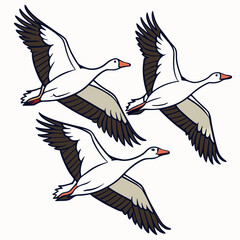Fototapeta premium A vector illustration depicting a V-shaped flock of migratory geese in flight, symbolizing nature's rhythm and seasonal journeys.