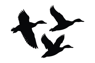 Flock of flying duck silhouette vector, duck bird icon vector art illustration © Trendy CraftSVG 
