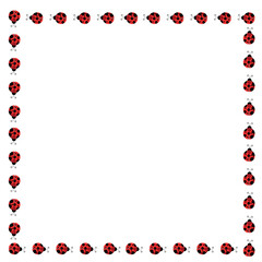 ladybug vector illustration © Manoel