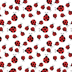 ladybug vector illustration © Manoel