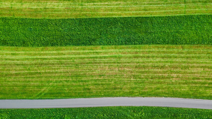 Minimalist aerial view of green field with narrow road