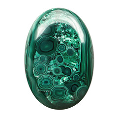Malachite Polished Cabochon Oval Crisp  isolated on a transparent background