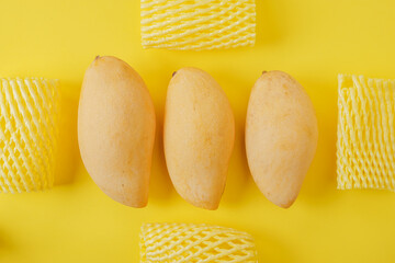Three Mangoes Arranged with Protective Packaging.