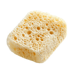 Natural Loofah Sponge Background  isolated on a transparent background