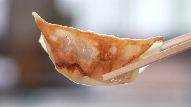 Jiaozi, gyoza, potstickers, Japanese dumpling