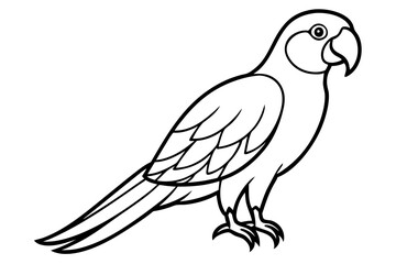 Minimalist Macaw Sketch