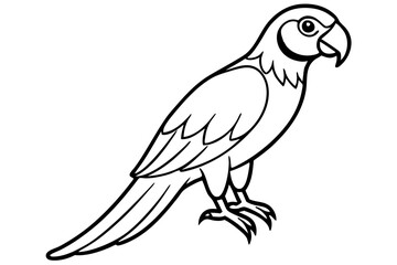 Minimalist Macaw Sketch