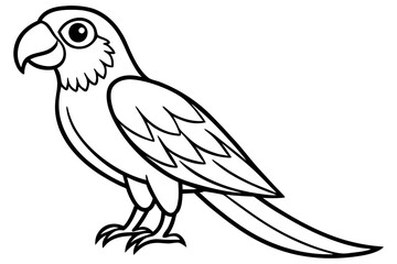 Minimalist Macaw Sketch
