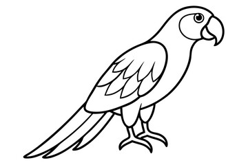 Minimalist Macaw Sketch