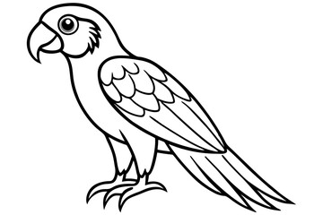 Minimalist Macaw Sketch