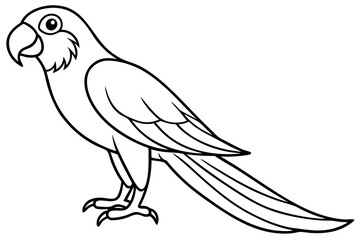 Minimalist Macaw Sketch